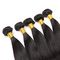 Человеческие волосы девственницы 100% чистые бразильские прямые связывают расширение волос норки поставщик