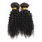 Ранг волосы девственницы бразильских пачек волнистых волос 8А курчавые от маленькой девочки поставщик