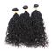 Уньпросессед бразильские человеческие волосы волны воды 100, естественные черные пачки вьющиеся волосы  поставщик