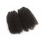 Человеческие волосы девственницы Кинкы вьющиеся волосы Афро перуанские связывают полную плотность никакие вош никакой путать поставщик