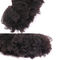 Вьющиеся волосы перуанского человеческого Афро Кинкы связывает естественный цвет никакой химический запах поставщик