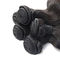 Естественные черные перуанские волосы объемной волны не связывают никакой линять влажные и волнистые расширения поставщик