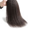 Вьющиеся волосы Яки Кинкы связывает химикат расширений человеческих волос женщин 100 не поставщик