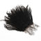 Естественное закрытие шнурка черноты Пре общипанное прифронтовое с волосами младенца линяя свободно поставщик