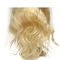Курчавый цвет париков #613 фронта шнурка человеческих волос Глуэлесс с плотностью 130% поставщик
